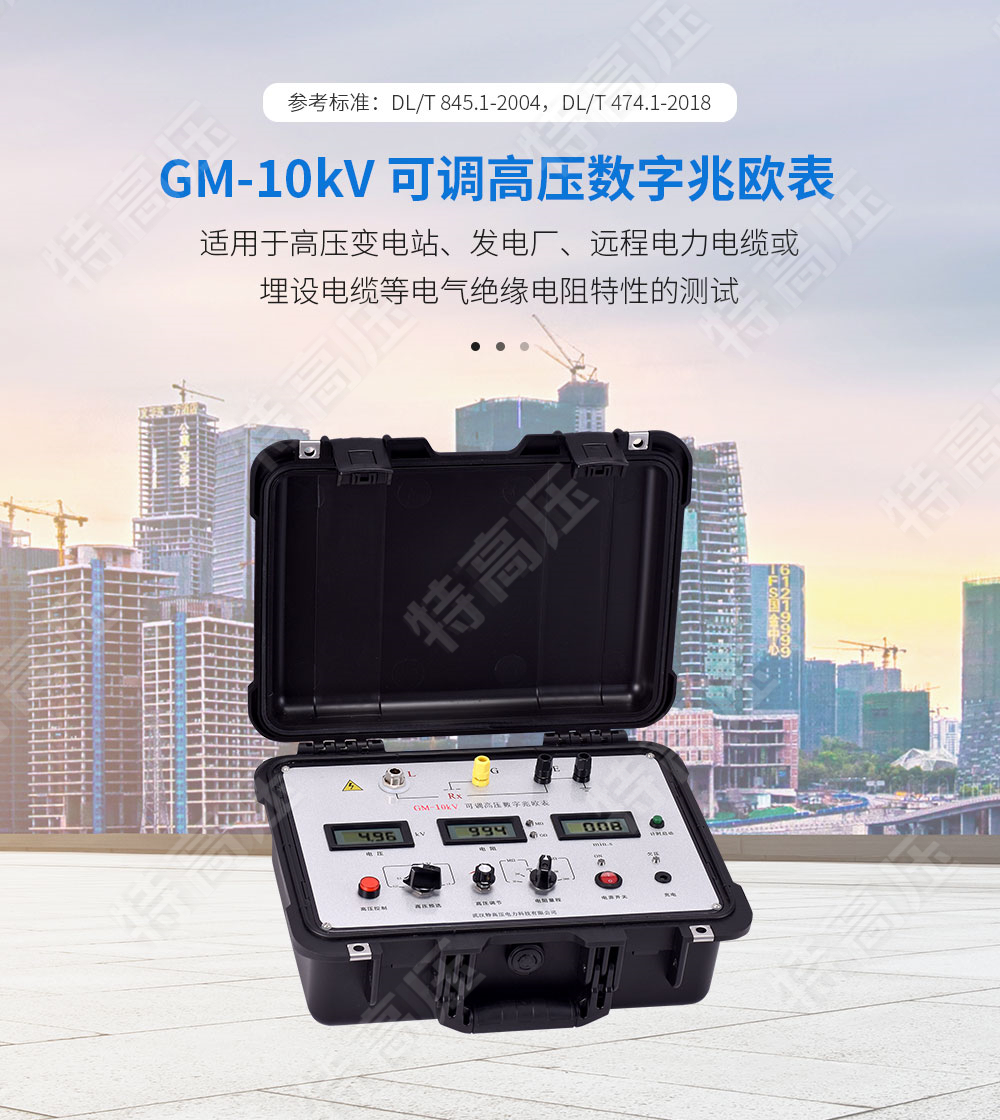 GM-10kV 可調高壓數字兆歐表(圖1)